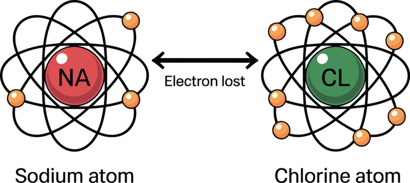 Sodium and chlorine atom electron transfer diagram showing ionic bonding and electron loss between atoms for chemistry education vector illustration