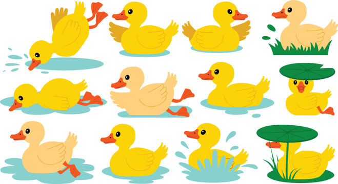Cute baby duck swimming cartoon vector illustration set featuring little yellow ducklings diving, splashing in water, resting on pond grass, and hiding under lily pad leaves.