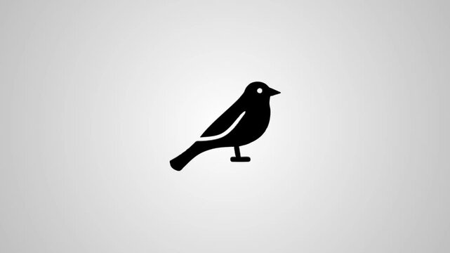 Small bird icon animation on a white background, motion graphic clip