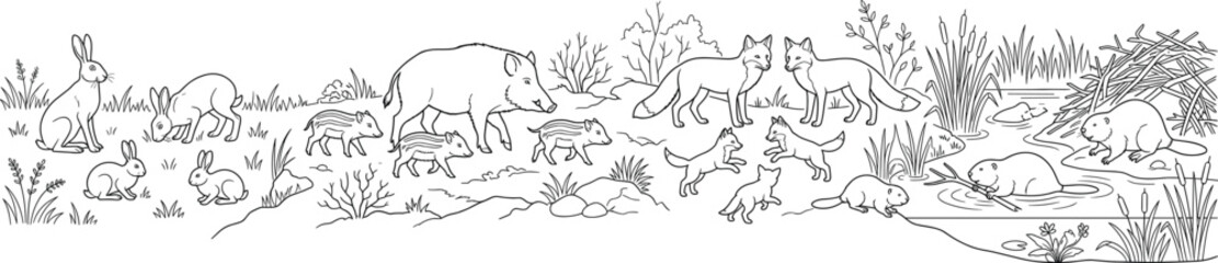 Woodland Wildlife Line Art Vector Scene Featuring Forest Animals Wetland Mammals and Natural Habitat Illustration © Muniya