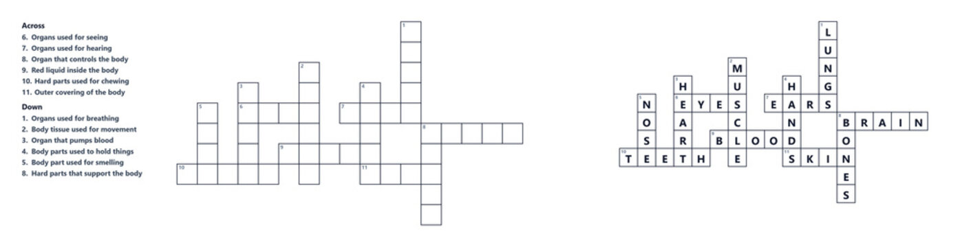 medical vocabulary Crossword puzzle layout with empty squares for answers  