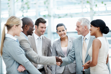 Fototapeta premium Business, staff and handshake with manager in office for company welcome, onboarding or new hire. Happy, people or shaking hands with candidate for corporate intern, team integration or career growth