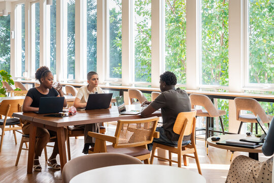 People Working Together in a Bright Space During the Day