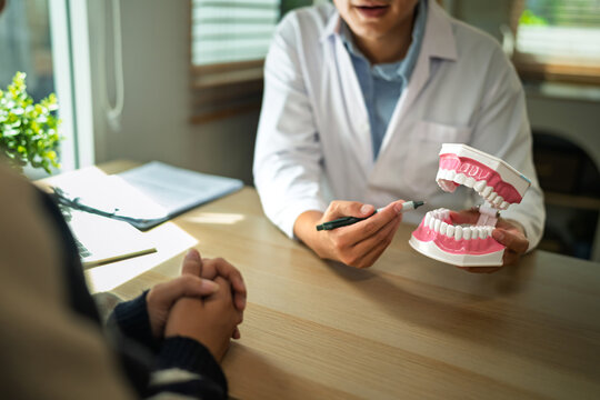 Dentist Explaining Teeth Model to Patient During Dental Consultation in Clinic Office