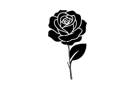 Black rose silhouette vector illustration with single stem and leaf on transparent layer.