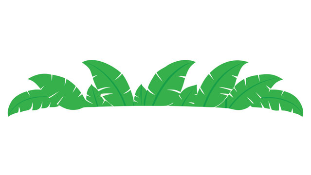 Tropical green leaves border set isolated on a pristine white background perfect for design elements or framing.