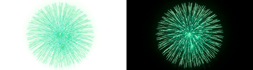 Fototapeta premium Green Chrysanthemum Firework isolated PNG, Transparent and Black Background Versions