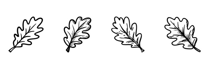 Fototapeta premium Oak Leaves In Hand Drawn Style Set. Nature And Botanical Doodle Sketch Collection. Perfect For Seasonal And Decorative Designs. Isolated Vector Illustration