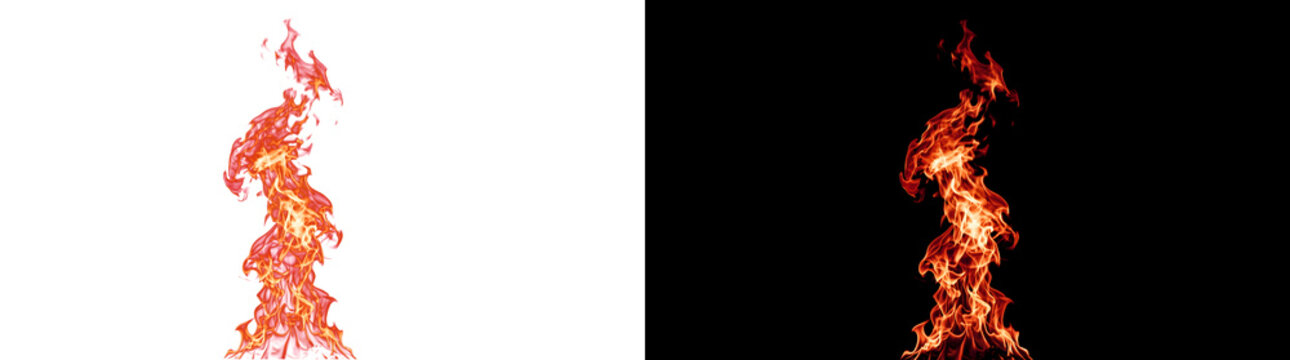 Realistic fire flame with blazing orange and red fire isolated PNG, Transparent and Black Background Versions