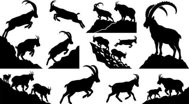 Mountain goat and ibex silhouettes set featuring wild animals climbing cliffs, jumping, and standing on rocky peaks for wildlife design projects