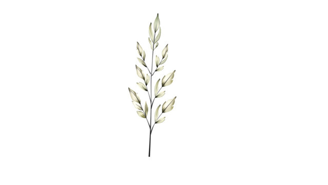 Botanical Micro Element 02