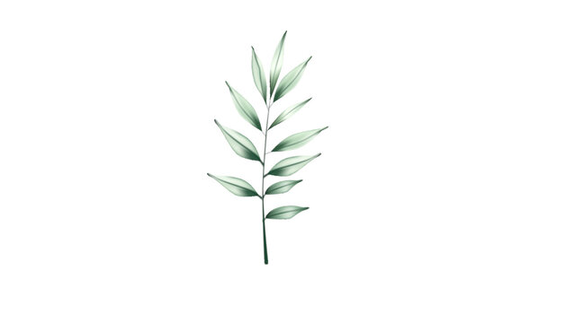 Botanical Micro Element 05