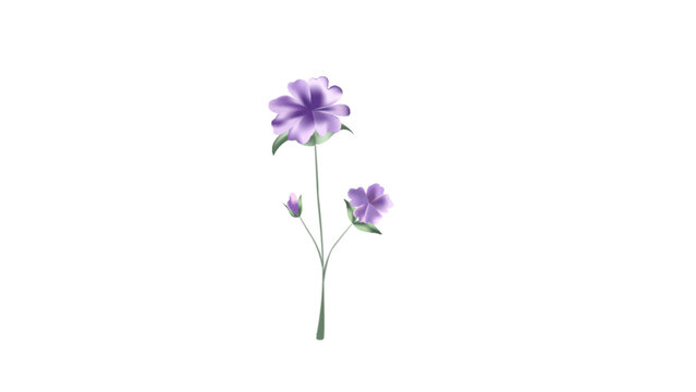 Botanical Micro Element 09