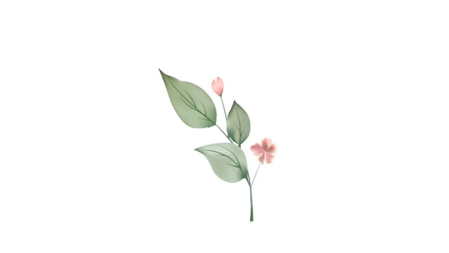 Botanical Micro Element 12