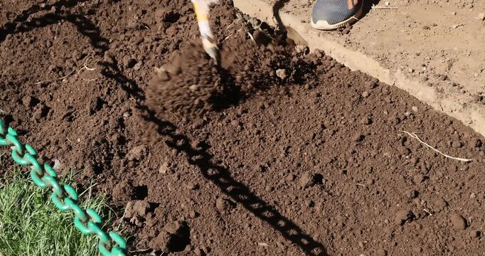 Gardener works soil in home garden with rake, prepares soil for transplanting 