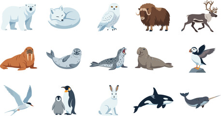 Arctic Wildlife Animals Vector Collection with Polar Mammals Seabirds Marine Life and Tundra Species © Rakib