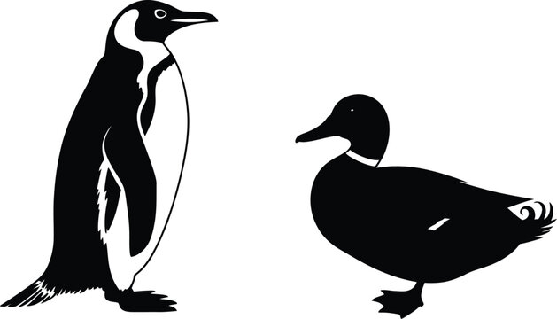 Silhouette of a penguin and a duck standing side by side