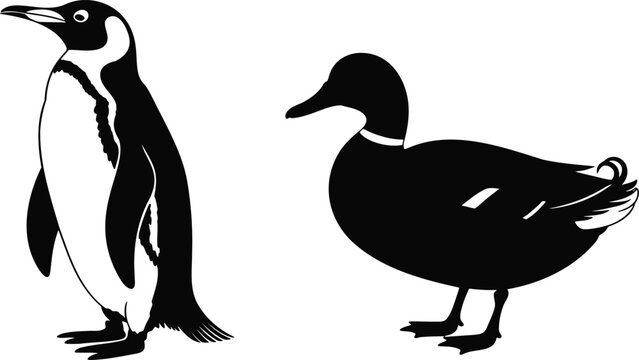 Vector illustration of a penguin and a duck