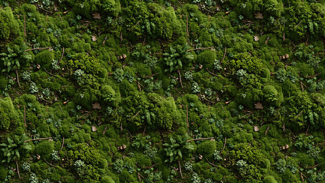 green moss on the ground