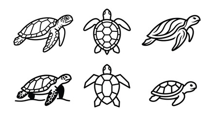Obraz premium Sea Turtle Line Art Collection On White Background