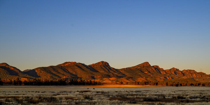 Two Emus (Dromaius novaehollandiae) are dwarfed by the mountains of the Flinders Range as the sun comes up in South Australia.