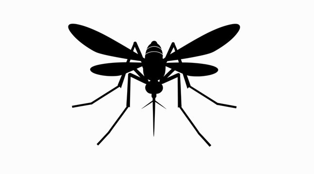 Black mosquito silhouette on white background. Flying insect icon.