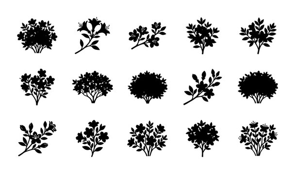 Botanical Vector Icons: Diverse Azalea Bush and Branch Silhouettes, Minimalist Garden Elements for Nature Design