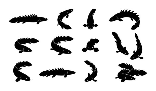 Amphibious Fish Silhouettes, Mudskipper Vector Icons Set, Aquatic Creature Poses, Underwater Life Graphics, Black and White Marine Animal Collection