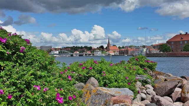 Panoramic view of Flensburg Fjord near Sonderborg with the historic old town, castle, blooming wild roses, rocky shoreline and dramatic summer clouds.Denmark