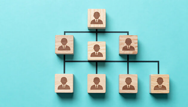 Organizational Structure Hierarchy Management
