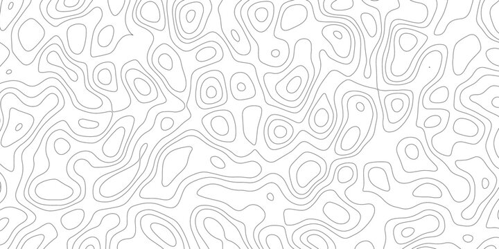 Background of the topographic map. Topographic map lines, contour background. Abstract moving topographic map lines background. 