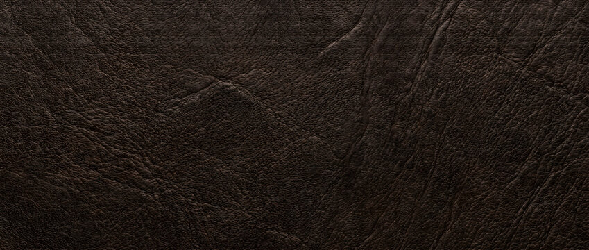 Leather texture with dark brown seamless natural grain surface featuring realistic premium hide detail for luxury design resources