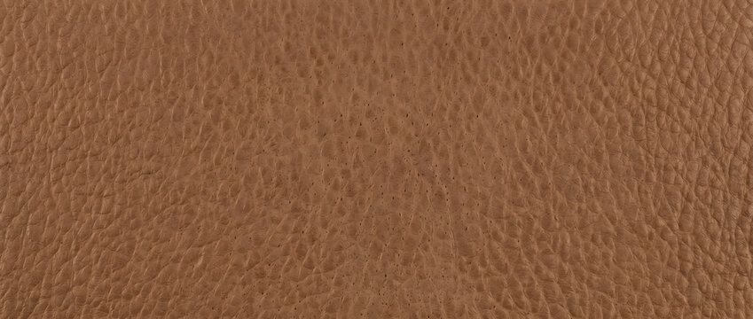 Leather texture with light brown exotic reptile inspired seamless surface featuring realistic embossed pattern for premium design resources
