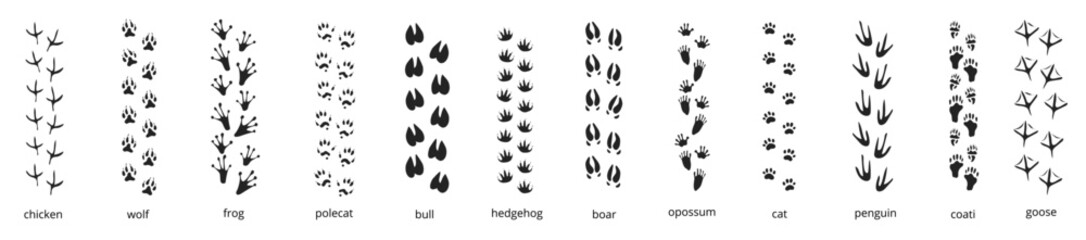 Animals footprint tracks. labeled wildlife and farm animal track guide. Black foot trace vector set. © Piyush Jain