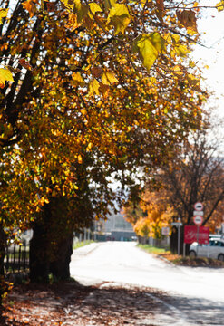 Romantic autumn day in Europe