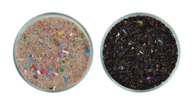 Samples of sand and soil polluted with tiny plastic particles in petri dishes, close up, top view	