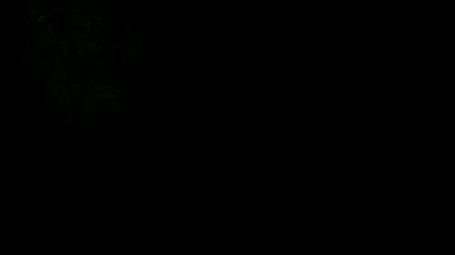Grunge Paint Splash Transition Animation Video with Organic Ink Matte Overlay