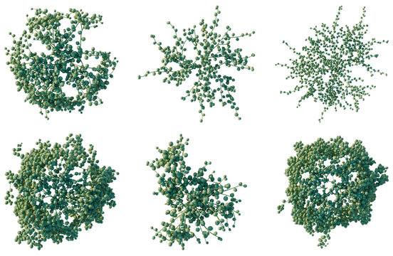 Set of  Senecio rowleyanus tree plan, top view, cutout, transparent background, isolate, Abstract 3D Fractal Tree Structures - Green Organic Branching Patterns in a Design Collection