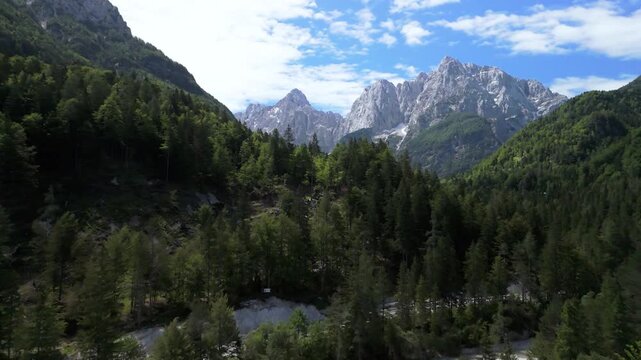 Triglav Mountain Range Reveal Through Forest, Julian Alps Slovenia