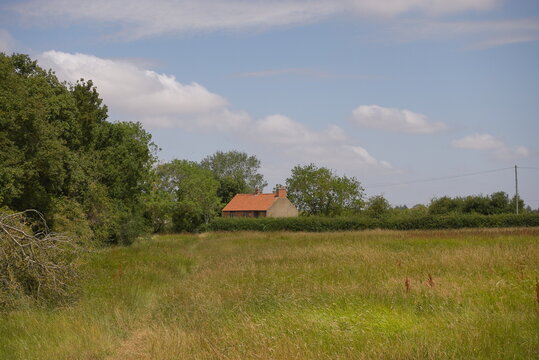 Helpston, Peterborough, Cambridgeshire, England - July 13 2026: Rice Wood &ndash; Traditional Stone Cottage with Red Roof Tiles Across Summer Wildflower Meadow