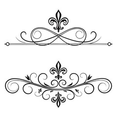 Elegant vector frames with fleur de lis symbol and flourishes, vintage divider elements with infinity sign for text decoration, royal black isolated ornate borders. © Aja