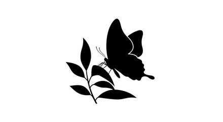 Butterfly Perched On Branch Black Silhouette insect © MDHOJAIFA