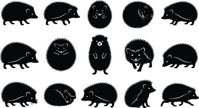 Hedgehog icons, black silhouette set, 15 animal shapes, vector graphics