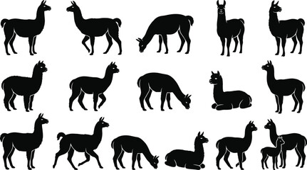 Black alpaca silhouettes, llama icons, animal graphics, vector illustrations, wildlife collection © Rifat