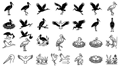 Obraz premium Vintage Black Silhouette and Line Art Stork Bird Icon Set Featuring Flying Birds Nests Newborn Chicks and Wetland Reed Botanical Vector Design Elements