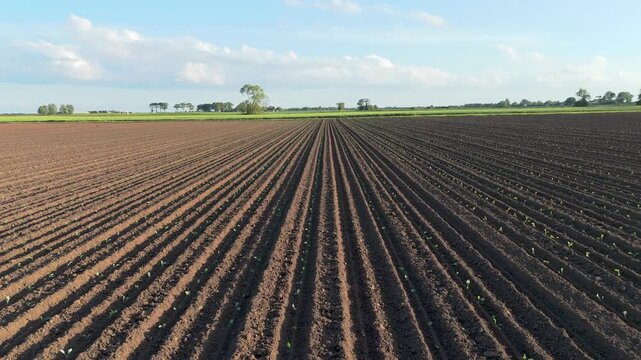 Farmland stretches wide under blue sky