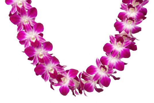 Vibrant Purple Orchid Flower Lei Garland