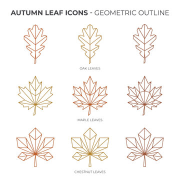 Set of nine orange and yellow dot art snowflakes