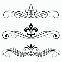 Decorative calligraphy flourish collection with fleur de lis symbols and organic leaf patterns for vintage book design or wedding invitations featuring elegant black ink style line drawing. © go