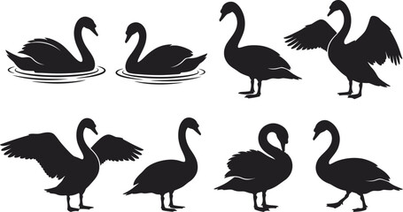 Black swan silhouettes, swan icons, bird graphics, vector illustrations © Rifat